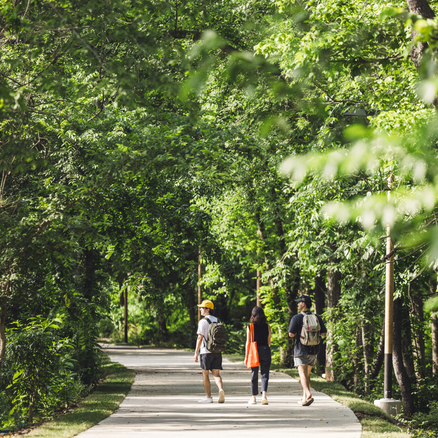 Explore | Razorback Greenway